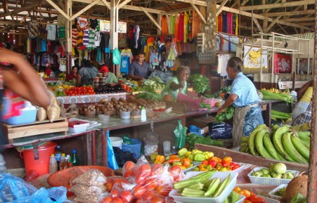 3exotischereizensurinamenl