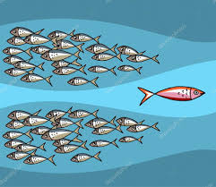 79 nl depositphotos com